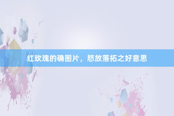红玫瑰的确图片，怒放落拓之好意思