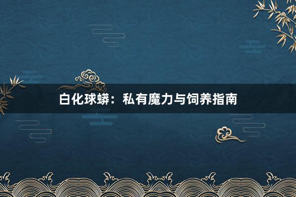 白化球蟒：私有魔力与饲养指南